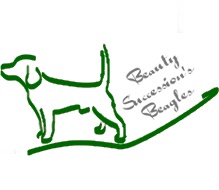 Beauty Succession's Beagles